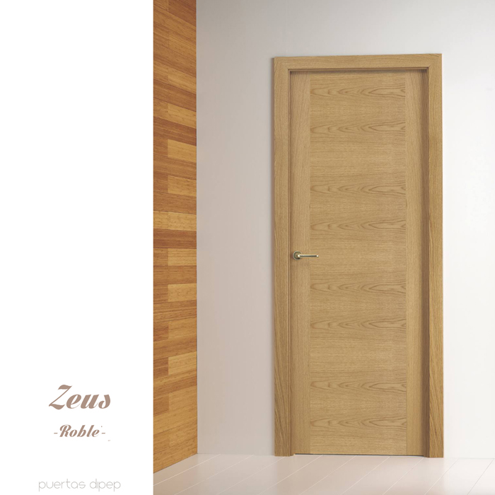 Puerta moderna modelo Zeus